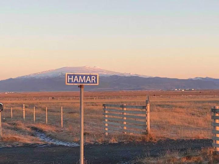 Hamar - Puffin Cottages & Rooms ハヴォルスヴォルール エクステリア 写真
